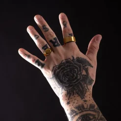 Hits : Signet Ring