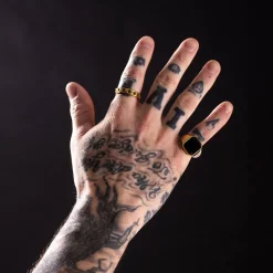 HITS : Warrior Ring