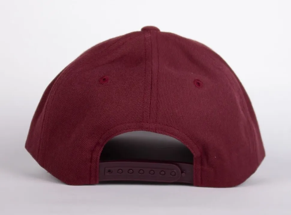 WLKN : Stair Baseball Cap
