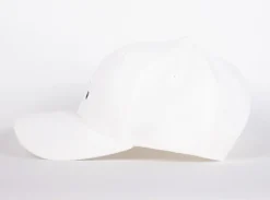WLKN : Stair Baseball Cap